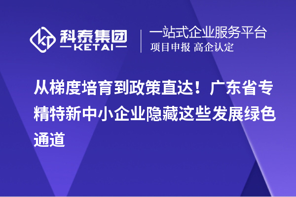 从梯度培育到政策直达！广东省专精特新中小企业隐藏这些发展绿色通道