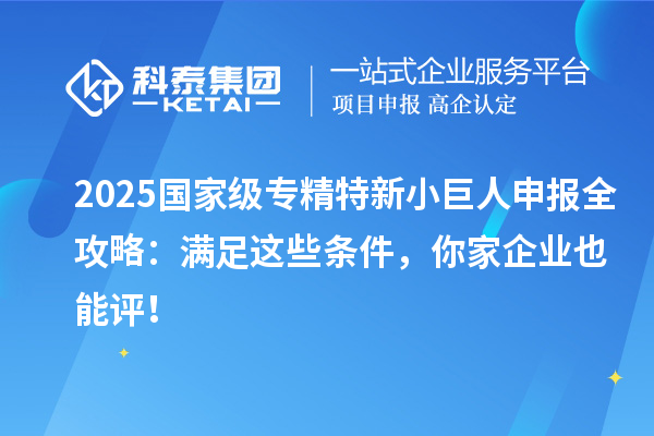  2025国家级专精特新小巨人申报全攻略：满足这些条件，你家企业也能评！