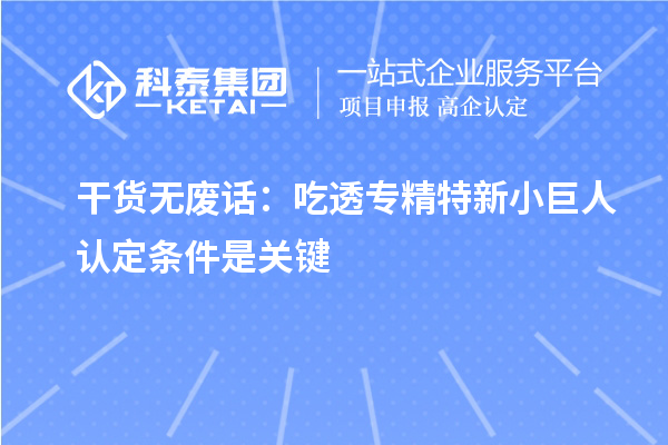 干货无废话：吃透专精特新小巨人认定条件是关键