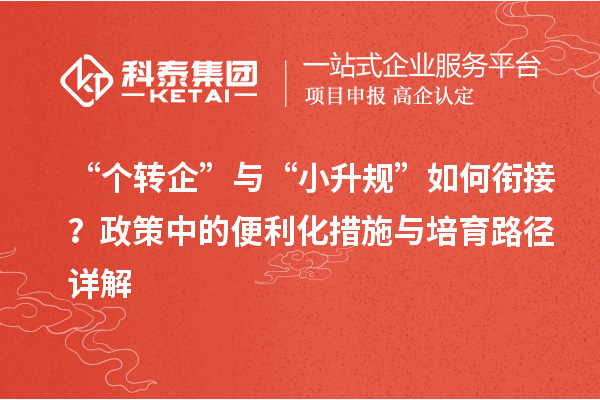 “个转企”与“小升规”如何衔接？政策中的便利化措施与培育路径详解