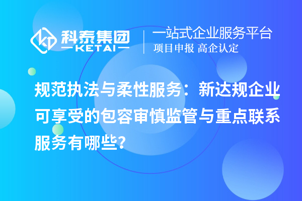 规范执法与柔性服务：新达规企业可享受的包容审慎监管与重点联系服务有哪些？