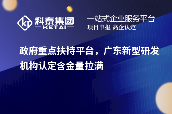 政府重点扶持平台，广东新型研发机构认定含金量拉满