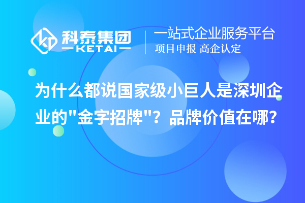 为什么都说国家级小巨人是深圳企业的金字招牌？品牌价值在哪？