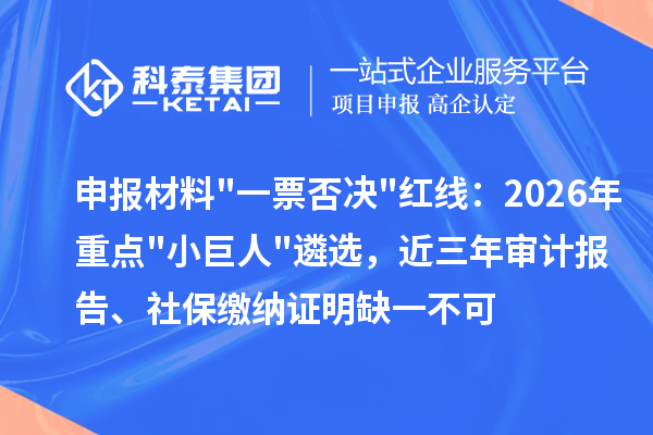 申报材料一票否决红线：2026年重点小巨人遴选，近三年审计报告、社保缴纳证明缺一不可