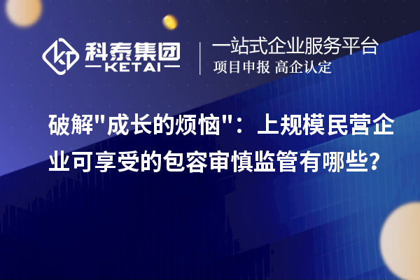 破解成长的烦恼：上规模民营企业可享受的包容审慎监管有哪些？