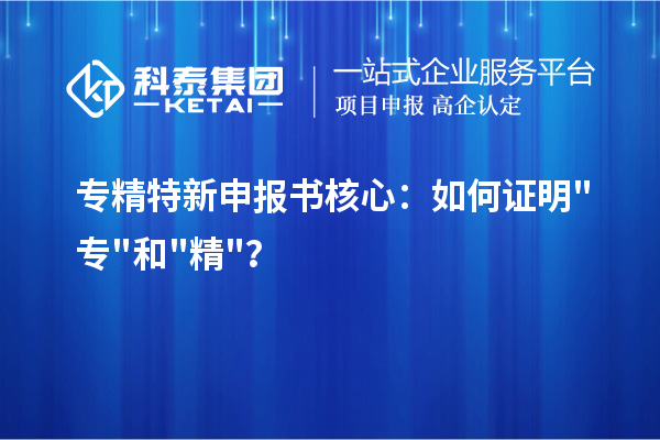 书核心：如何证明专和精？