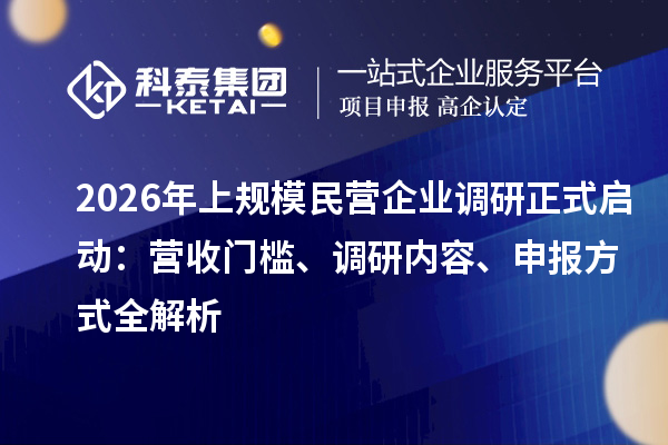 2026年上规模民营企业调研正式启动：营收门槛、调研内容、申报方式全解析
