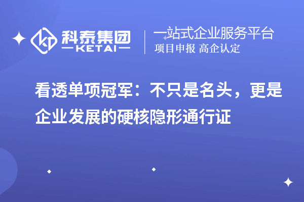 看透单项冠军：不只是名头，更是企业发展的硬核隐形通行证