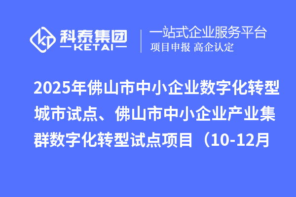 2025年佛山市中小企业数字化转型城市试点、佛山市中小企业产业集群数字化转型试点项目（10-12月批次）评审结果的公示（第三次）