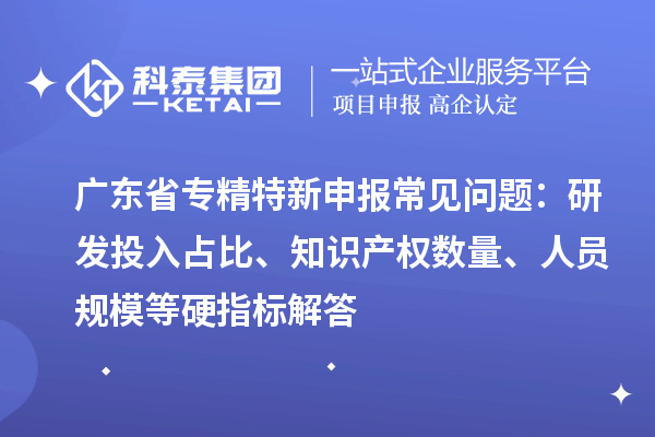 广东省常见问题：研发投入占比、知识产权数量、人员规模等硬指标解答